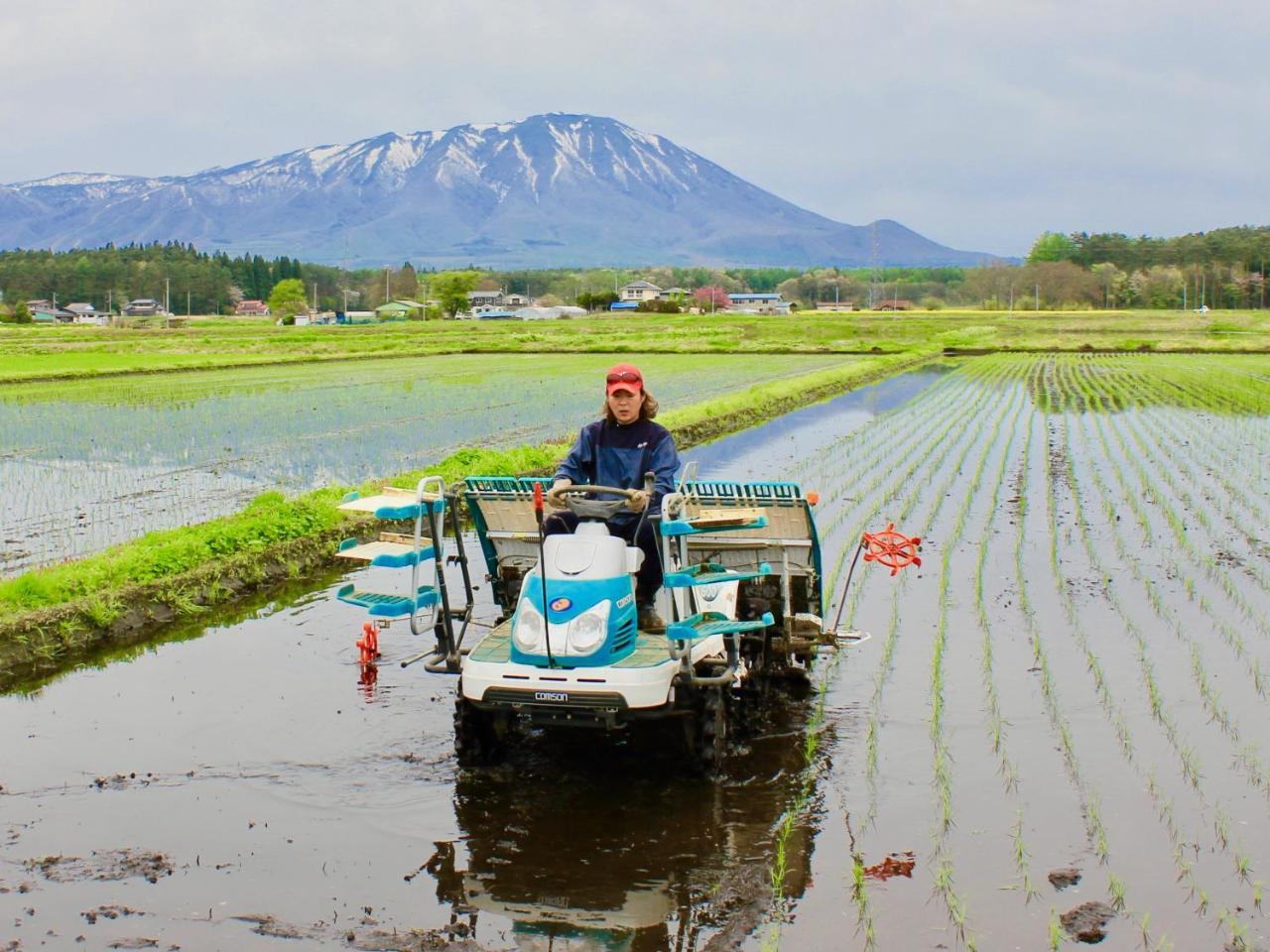 Appi Life Is Beautiful * Hachimantai (Iwate)
